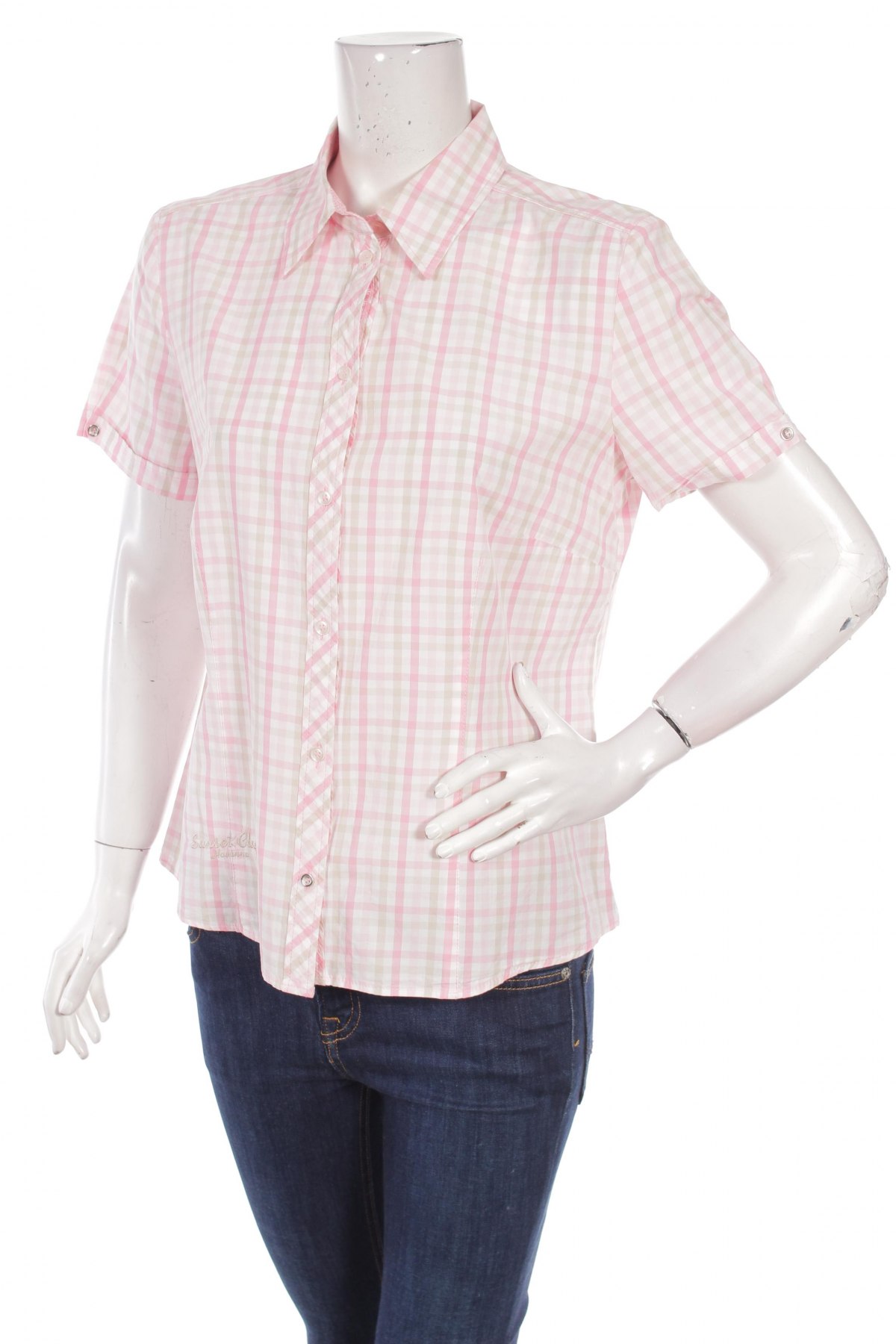 Γυναικείο πουκάμισο G.W., Μέγεθος L, Χρώμα Πολύχρωμο, Τιμή 14,85 €