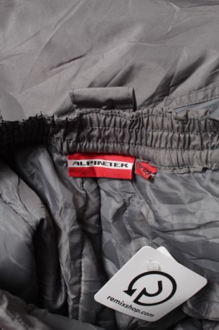 Παιδικό παντελόνι για χειμερινά σπορ Alpinetek, Μέγεθος 11-12y/ 152-158 εκ., Χρώμα Γκρί, Τιμή 4,95 €