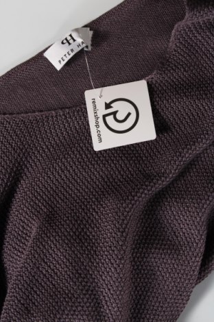 Γυναικείο πουλόβερ Peter Hahn, Μέγεθος XL, Χρώμα Γκρί, Τιμή 2,78 €