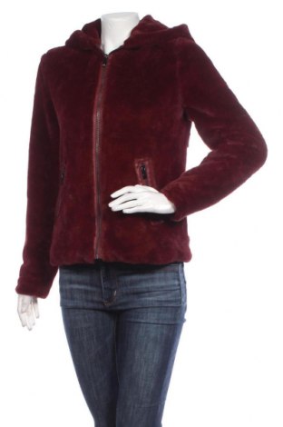 Γυναικείο μπουφάν Amisu, Μέγεθος XS, Χρώμα Κόκκινο, Τιμή 7,68 €