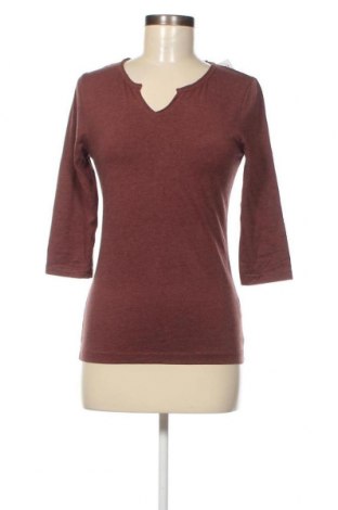 Γυναικεία μπλούζα, Μέγεθος XS, Χρώμα Καφέ, Τιμή 2,47 €