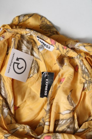 Γυναικεία μπλούζα Express, Μέγεθος L, Χρώμα Κίτρινο, Τιμή 5,12 €