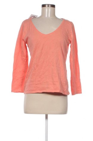 Damen Shirt In Extenso, Größe L, Farbe Orange, Preis € 1,98