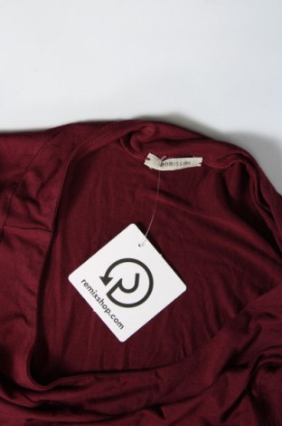 Damen Shirt Intimissimi, Größe M, Farbe Rot, Preis 9,72 €