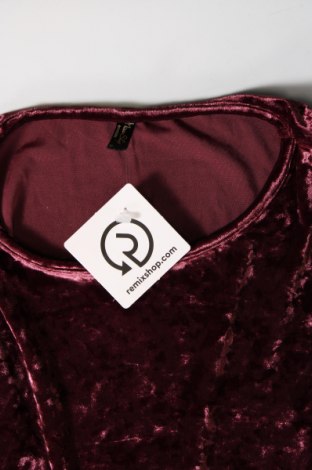 Γυναικεία μπλούζα Miss Shop, Μέγεθος M, Χρώμα Βιολετί, Τιμή 3,27 €