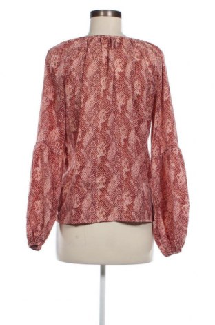 Γυναικεία μπλούζα SHEIN, Μέγεθος S, Χρώμα Πολύχρωμο, Τιμή 2,23 €