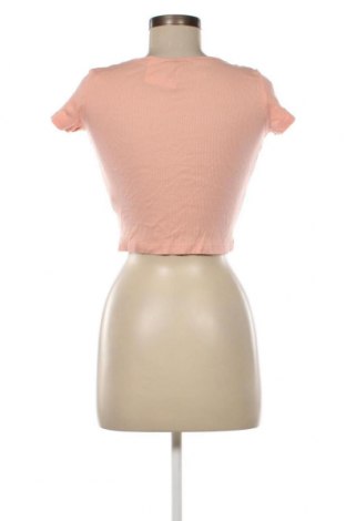 Γυναικεία μπλούζα Terranova, Μέγεθος S, Χρώμα Ρόζ , Τιμή 3,29 €