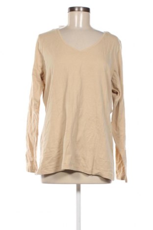 Damen Shirt Zeeman, Größe XXL, Farbe Ecru, Preis 7,93 €