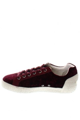 Damenschuhe Ash, Größe 37, Farbe Rot, Preis 105,67 €