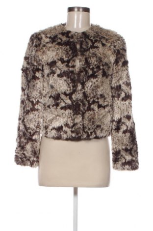 Γυναικείο παλτό BB Dakota, Μέγεθος XS, Χρώμα Πολύχρωμο, Τιμή 18,37 €