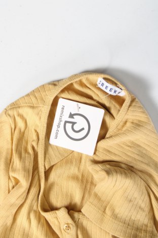 Παιδική μπλούζα Creeks, Μέγεθος 14-15y/ 168-170 εκ., Χρώμα Κίτρινο, Τιμή 3,27 €