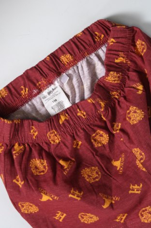 Παιδικό κοντό παντελόνι Harry Potter, Μέγεθος 5-6y/ 116-122 εκ., Χρώμα Πολύχρωμο, Τιμή 8,44 €