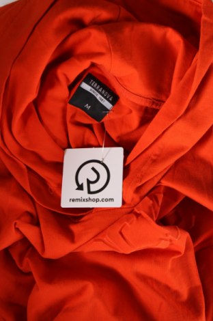 Herren Shirt Terranova, Größe M, Farbe Orange, Preis € 6,21