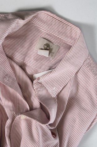 Herrenhemd Timberland, Größe M, Farbe Mehrfarbig, Preis 24,04 €