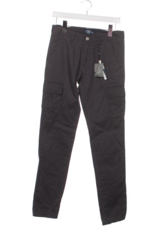 Мъжки панталон Oviesse, Размер S, Цвят Сив, Цена 6,90 лв.