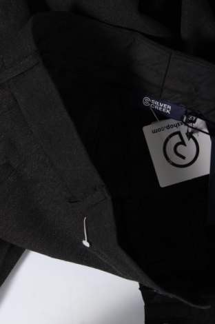 Pantaloni de bărbați Silver Creek, Mărime M, Culoare Gri, Preț 26,99 Lei