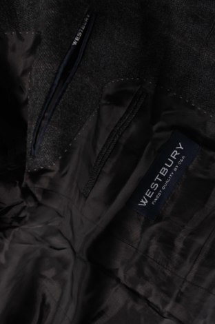 Ανδρικό σακάκι Westbay, Μέγεθος M, Χρώμα Πολύχρωμο, Τιμή 8,17 €