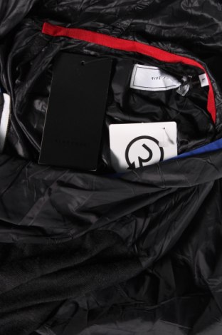 Ανδρικό αθλητικό μπουφάν, Μέγεθος L, Χρώμα Μαύρο, Τιμή 42,68 €