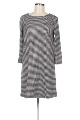 Φόρεμα Calliope, Μέγεθος XL, Χρώμα Πολύχρωμο, Τιμή 5,12 €