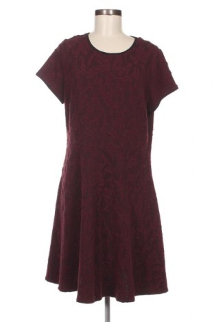 Šaty  Dorothy Perkins, Veľkosť XL, Farba Červená, Cena  11,51 €