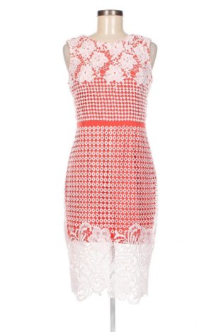 Kleid Izabel London, Größe M, Farbe Mehrfarbig, Preis 48,69 €