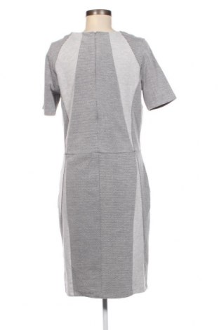 Kleid Pep, Größe L, Farbe Grau, Preis 11,30 €