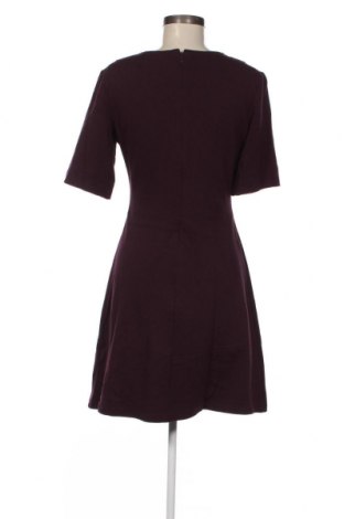 Φόρεμα Warehouse, Μέγεθος M, Χρώμα Βιολετί, Τιμή 7,89 €