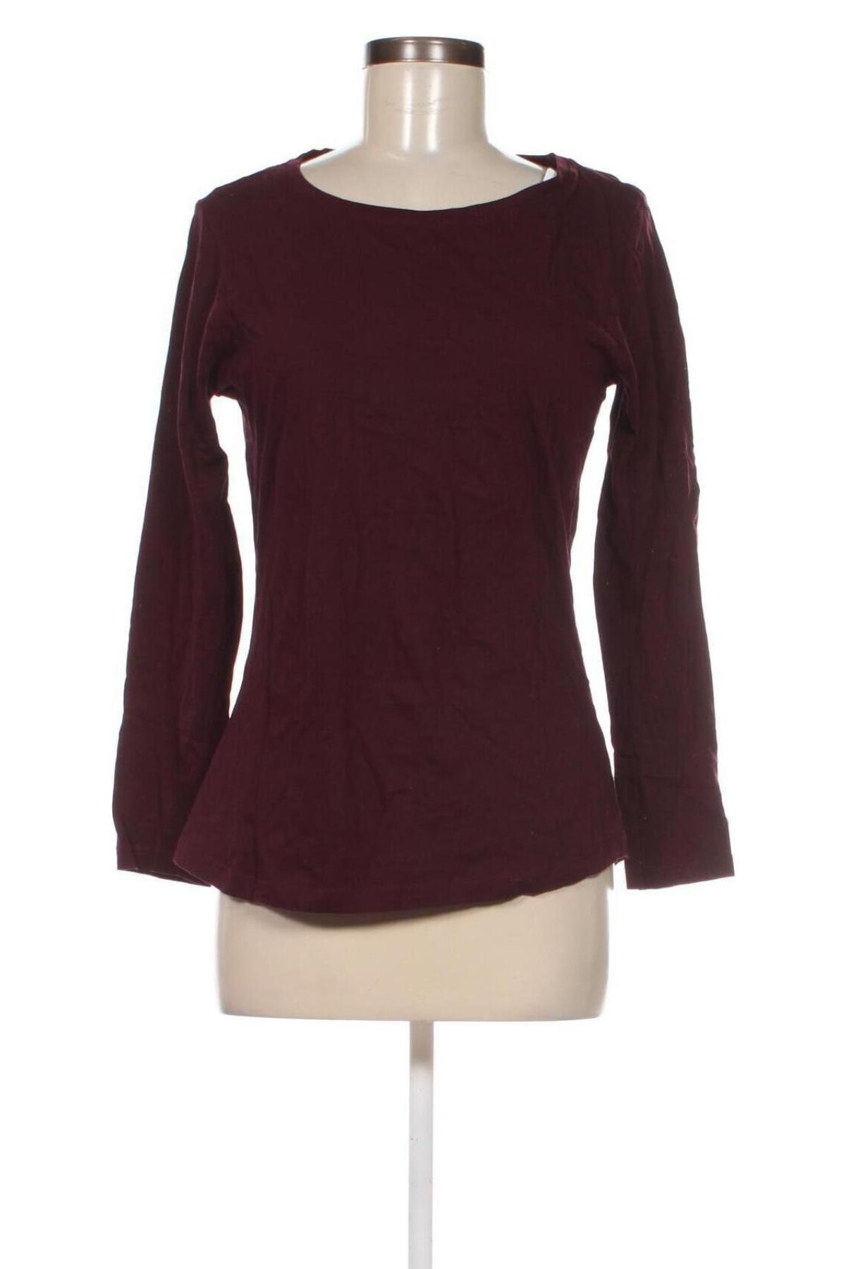Γυναικεία μπλούζα Sfera, Μέγεθος XL, Χρώμα Βιολετί, Τιμή 11,75 €