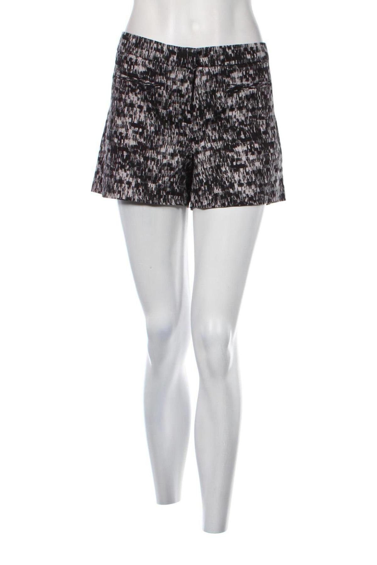 Γυναικείο κοντό παντελόνι Dalia, Μέγεθος L, Χρώμα Πολύχρωμο, Τιμή 14,85 €