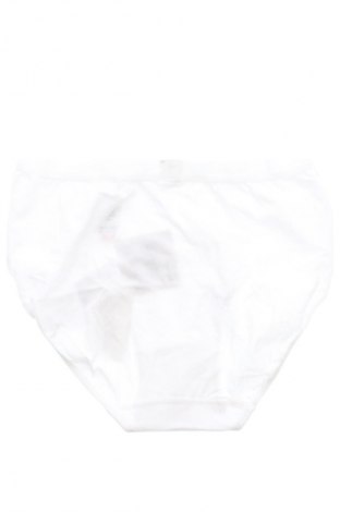 bikiny Schiesser, Velikost L, Barva Bílá, Cena  189,00 Kč