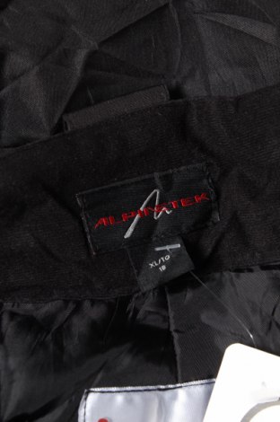 Παιδικό παντελόνι για χειμερινά σπορ Alpinetek, Μέγεθος 15-18y/ 170-176 εκ., Χρώμα Μαύρο, Τιμή 4,95 €
