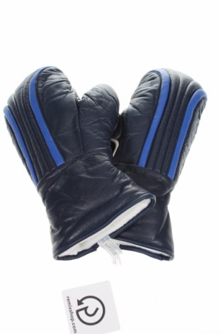 Γάντια για χειμερινά σπορ, Χρώμα Μπλέ, Δερματίνη, Τιμή 18,19 €