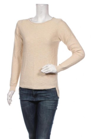 Γυναικείο πουλόβερ Caroline K Morgan, Μέγεθος S, Χρώμα  Μπέζ, Τιμή 3,34 €