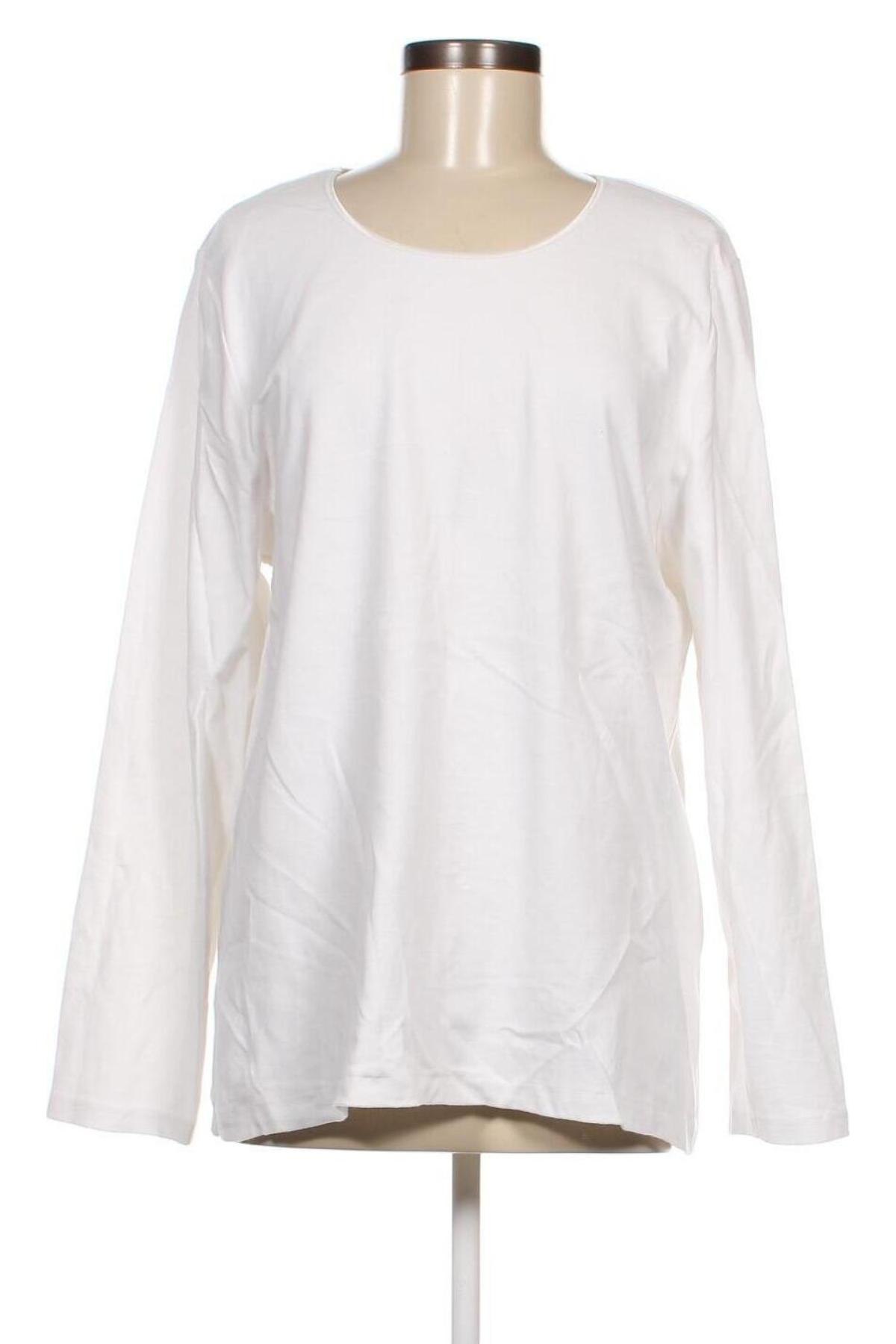 Γυναικεία μπλούζα Regatta, Μέγεθος M, Χρώμα Λευκό, Βαμβάκι, ελαστάνη, Τιμή 9,40 €