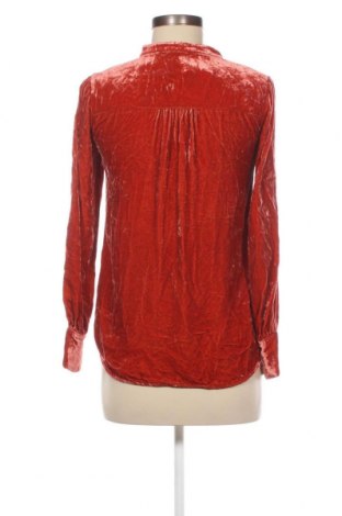 Damen Shirt, Größe XS, Farbe Orange, Preis € 2,49