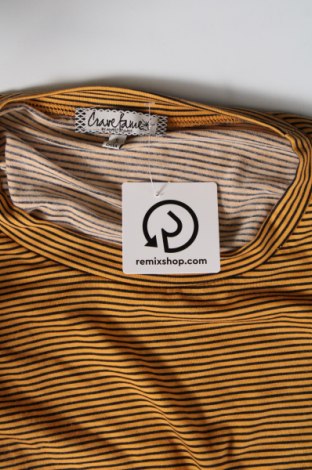 Γυναικεία μπλούζα Almost Famous, Μέγεθος S, Χρώμα Πολύχρωμο, Τιμή 11,75 €