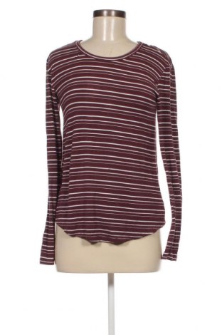 Damen Shirt American Eagle, Größe XS, Farbe Mehrfarbig, Preis € 1,67