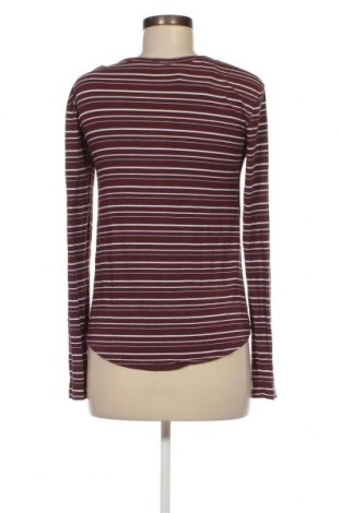 Damen Shirt American Eagle, Größe XS, Farbe Mehrfarbig, Preis 16,70 €