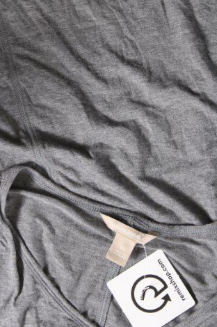 Damen Shirt Banana Republic, Größe XS, Farbe Grau, Preis 23,66 €