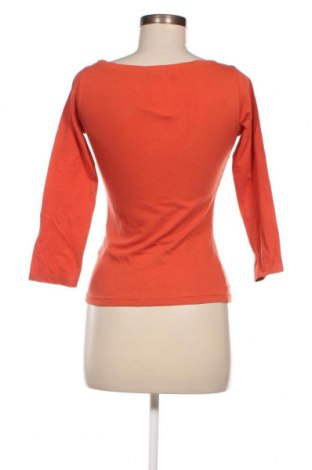 Γυναικεία μπλούζα Calliope, Μέγεθος S, Χρώμα Πορτοκαλί, Τιμή 1,65 €