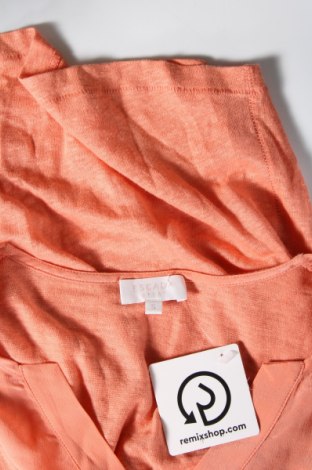 Γυναικεία μπλούζα Escada Sport, Μέγεθος S, Χρώμα Πορτοκαλί, Τιμή 54,43 €