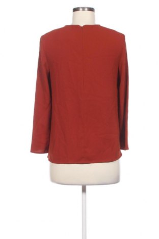 Damen Shirt Hallhuber, Größe XS, Farbe Braun, Preis € 17,44