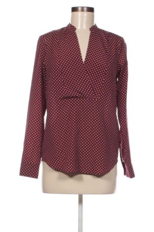 Damen Shirt MICHAEL Michael Kors, Größe XS, Farbe Braun, Preis 23,88 €