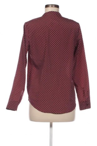 Damen Shirt MICHAEL Michael Kors, Größe XS, Farbe Braun, Preis 61,24 €