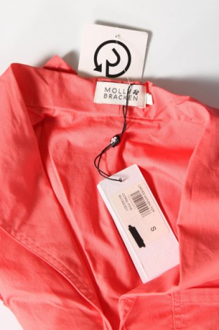 Γυναικεία μπλούζα Molly Bracken, Μέγεθος S, Χρώμα Ρόζ , Τιμή 7,05 €