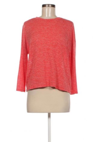 Γυναικεία μπλούζα Newbury Kustom, Μέγεθος S, Χρώμα Πολύχρωμο, Τιμή 1,68 €