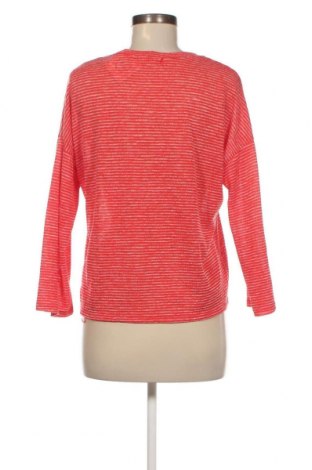 Γυναικεία μπλούζα Newbury Kustom, Μέγεθος S, Χρώμα Πολύχρωμο, Τιμή 21,03 €