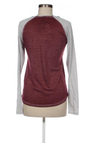 Γυναικεία μπλούζα Sublevel, Μέγεθος XS, Χρώμα Πολύχρωμο, Τιμή 4,31 €
