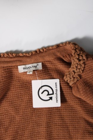 Damen Strickjacke Bluoltre, Größe M, Farbe Beige, Preis 3,63 €