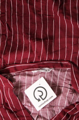 Γυναικείο πουκάμισο Terranova, Μέγεθος M, Χρώμα Κόκκινο, Τιμή 15,46 €